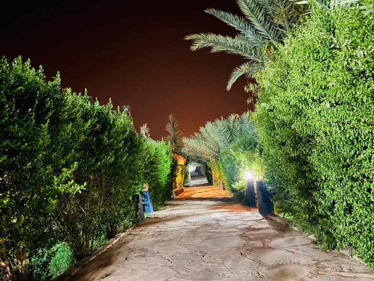 Paradis Touareg Zagora Dış mekan fotoğraf