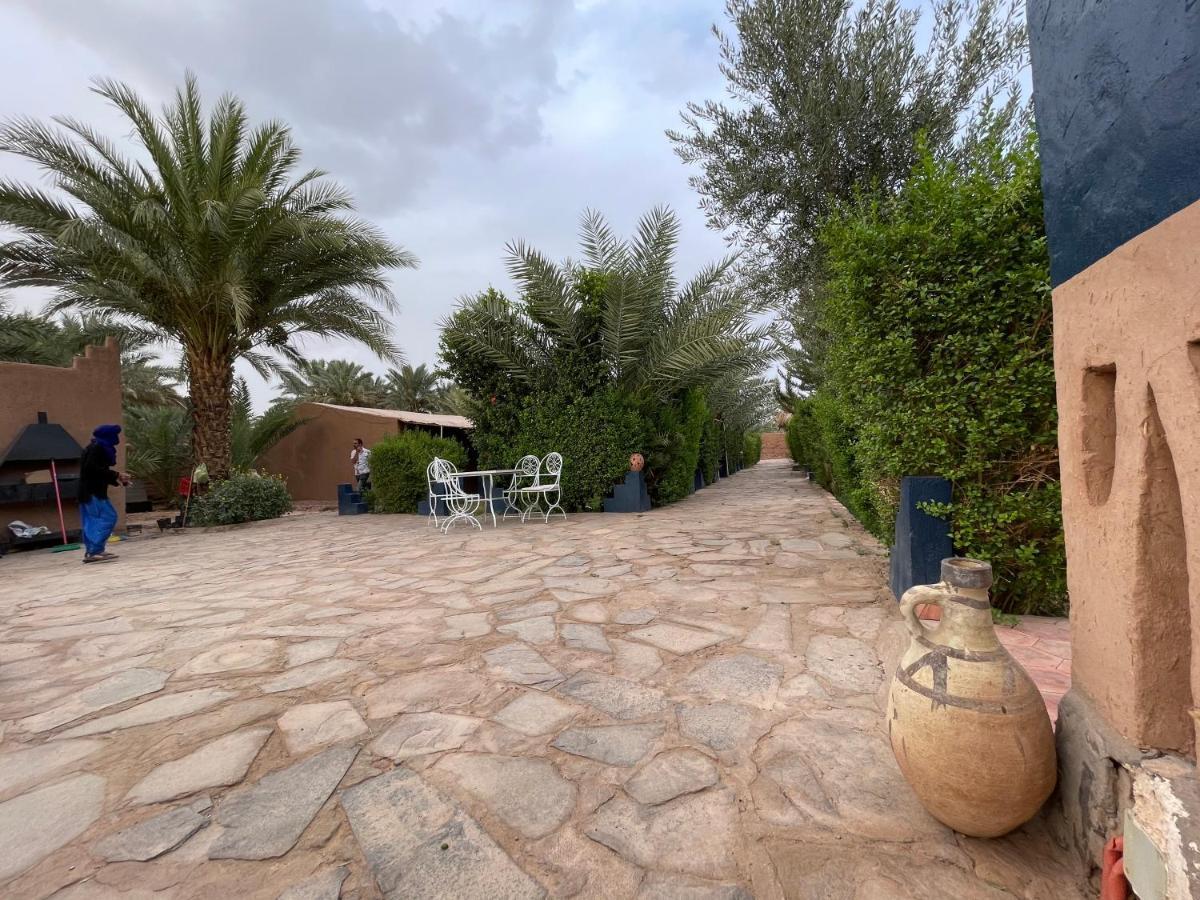 Paradis Touareg Zagora Dış mekan fotoğraf