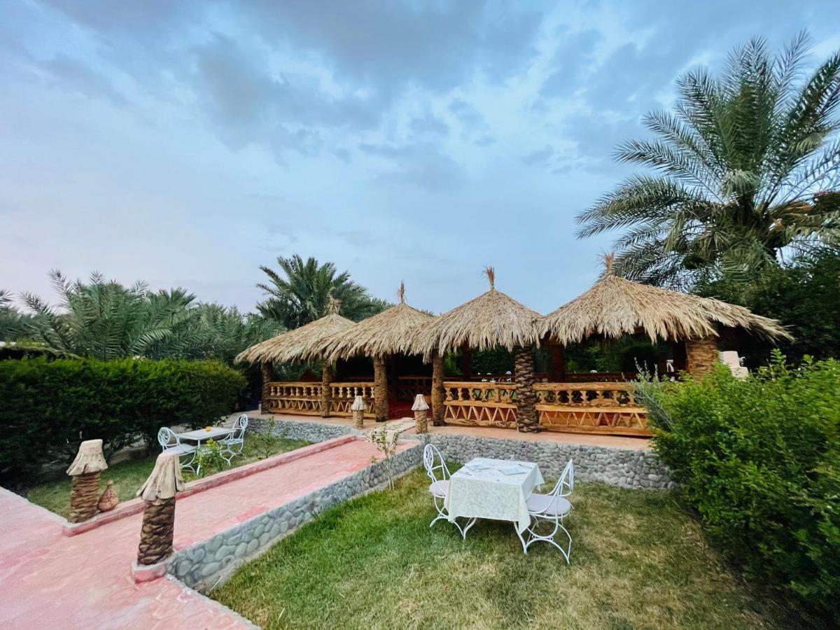 Paradis Touareg Zagora Dış mekan fotoğraf