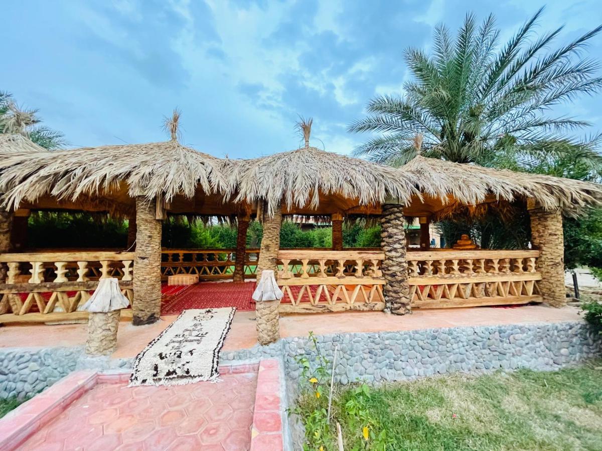 Paradis Touareg Zagora Dış mekan fotoğraf