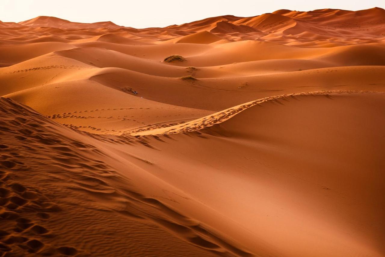 Paradis Touareg Zagora Dış mekan fotoğraf