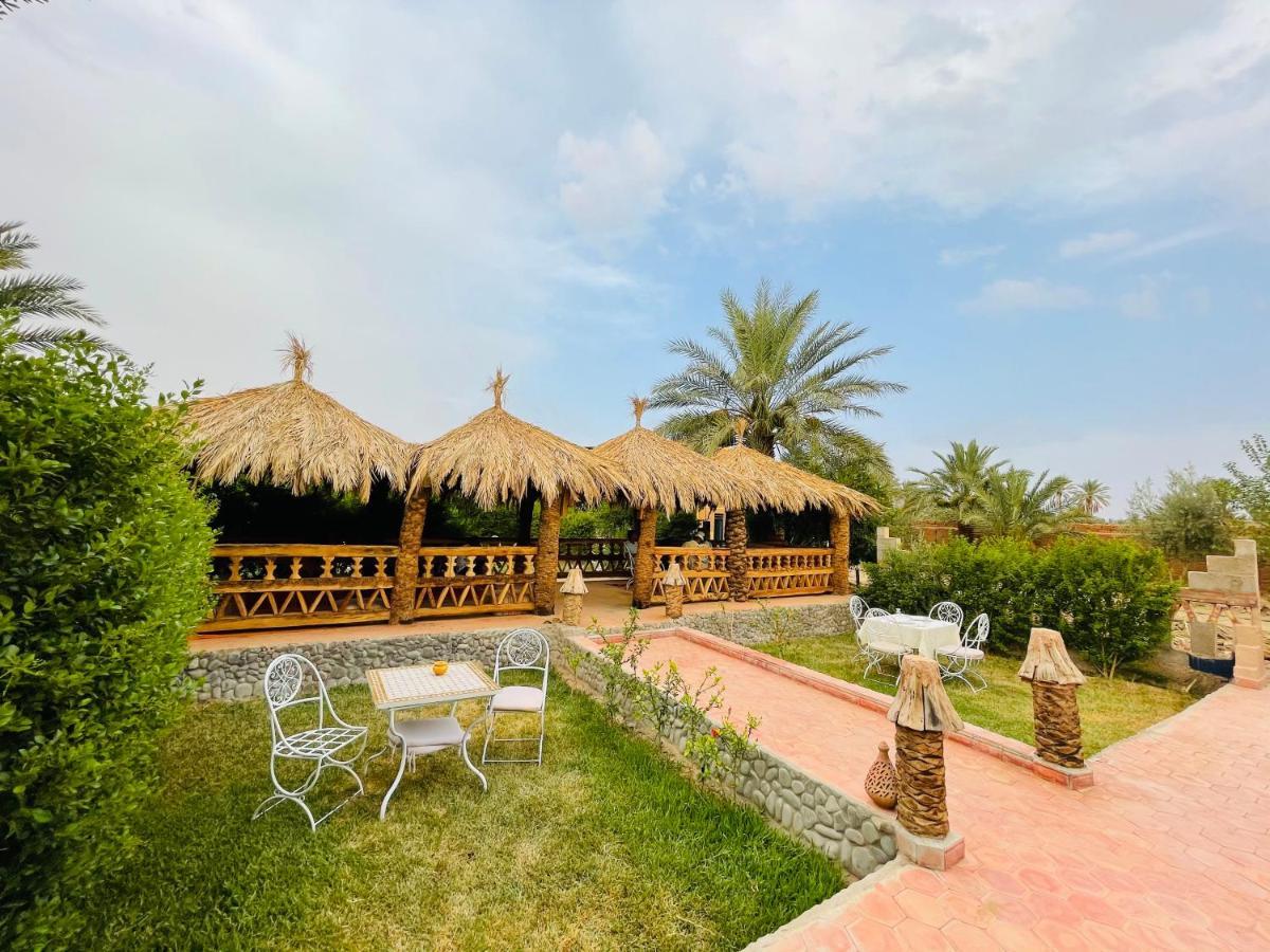 Paradis Touareg Zagora Dış mekan fotoğraf