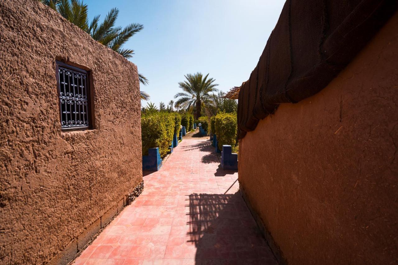 Paradis Touareg Zagora Dış mekan fotoğraf
